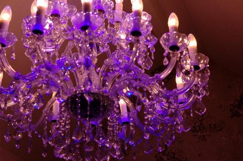 B&B Bon-Bon 'Nuit' Turnhout Dış mekan fotoğraf